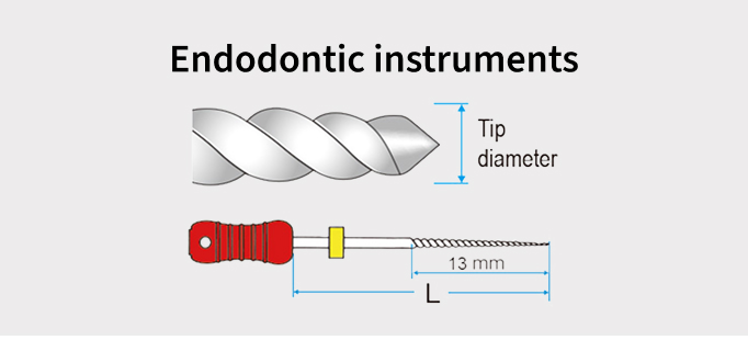 Diagram of an endodontic instrument showing a twisted cutting tip and red handle, with labeled dimensions for tip diameter and length.