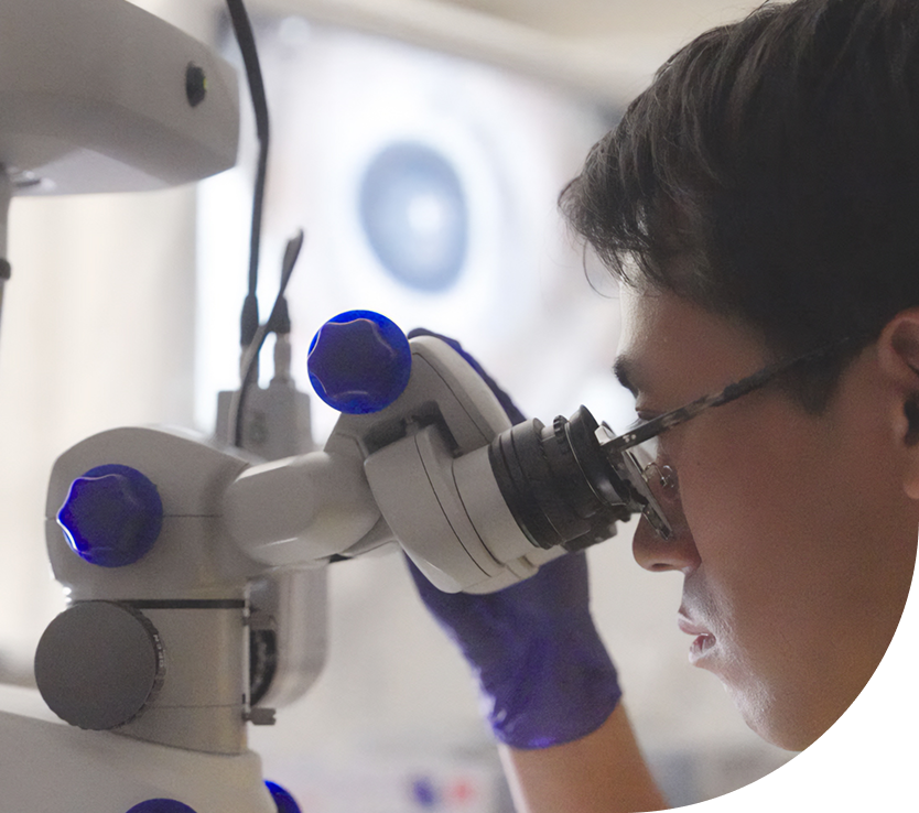 A man wearing protective gloves and glasses is looking through a laboratory microscope.